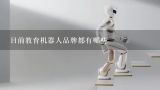 目前教育机器人品牌都有哪些,儿童智能机器人教育品牌有哪些？