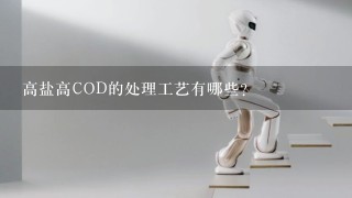 高盐高COD的处理工艺有哪些？