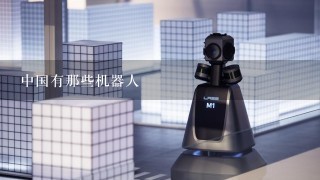 中国有那些机器人