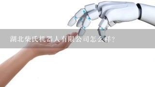 湖北柴氏机器人有限公司怎么样？