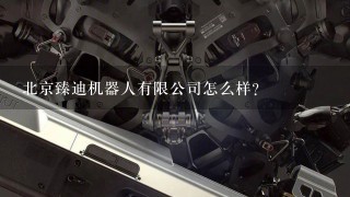 北京臻迪机器人有限公司怎么样？