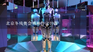 北京冬残奥会精神作文10篇