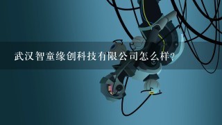 武汉智童缘创科技有限公司怎么样？