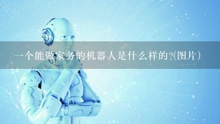 1个能做家务的机器人是什么样的?(图片)