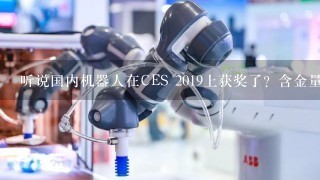 听说国内机器人在CES 2019上获奖了？含金量到底如何?