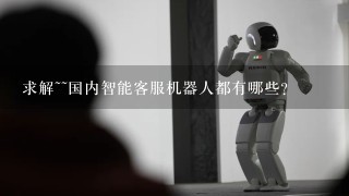 求解~~国内智能客服机器人都有哪些？