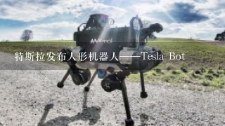 特斯拉发布人形机器人——Tesla Bot