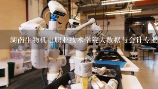 湖南生物机电职业技术学院大数据与会计专业上些什么课程