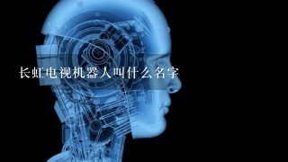 长虹电视机器人叫什么名字