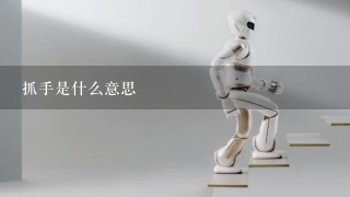 抓手是什么意思