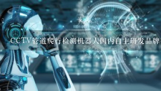 CCTV管道爬行检测机器人国内自主研发品牌有哪些？是否可以定制开发