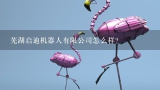 芜湖启迪机器人有限公司怎么样？