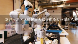 嘉兴南湖区枫桥新篁去嘉兴机器人公园怎么乘车去