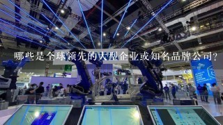 哪些是全球领先的大型企业或知名品牌公司？